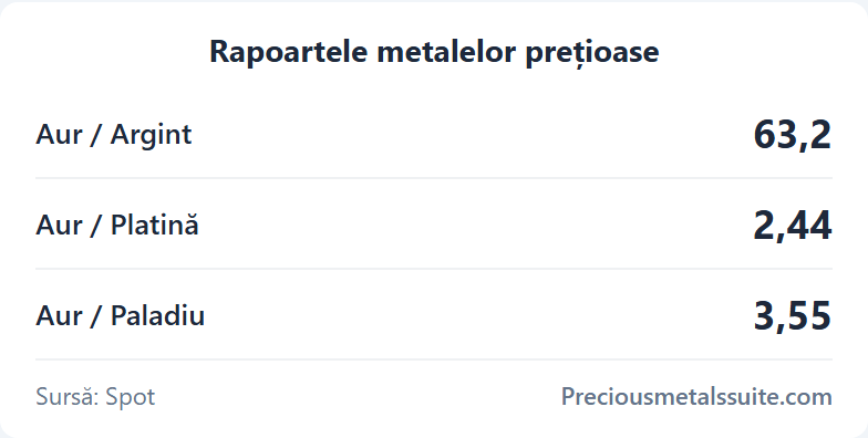 Rapoarte Modul 